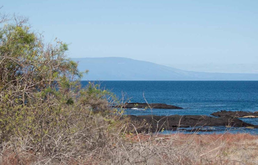Marchena Island, Ecuador, Ecuador